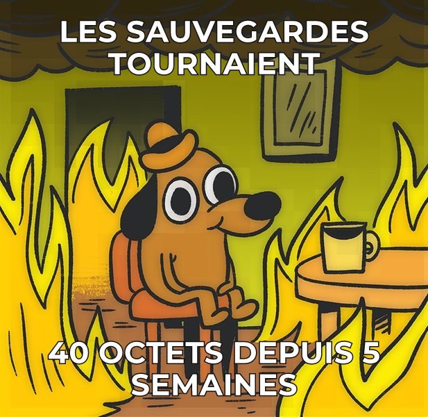 Les sauvegardes tournaient : 40 octets depuis 5 semaines.